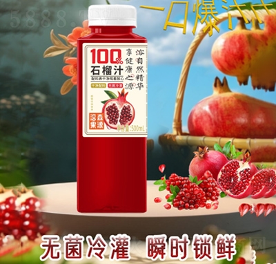 ɭԴ100%ʯ֭500ml